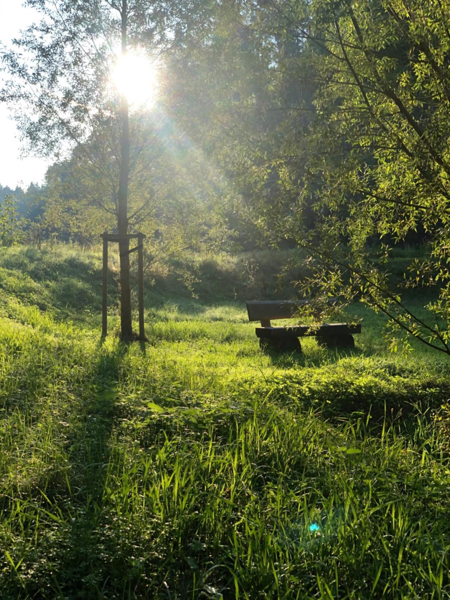 Waldhotel Linzmuehle Kahla  Екстер'єр фото