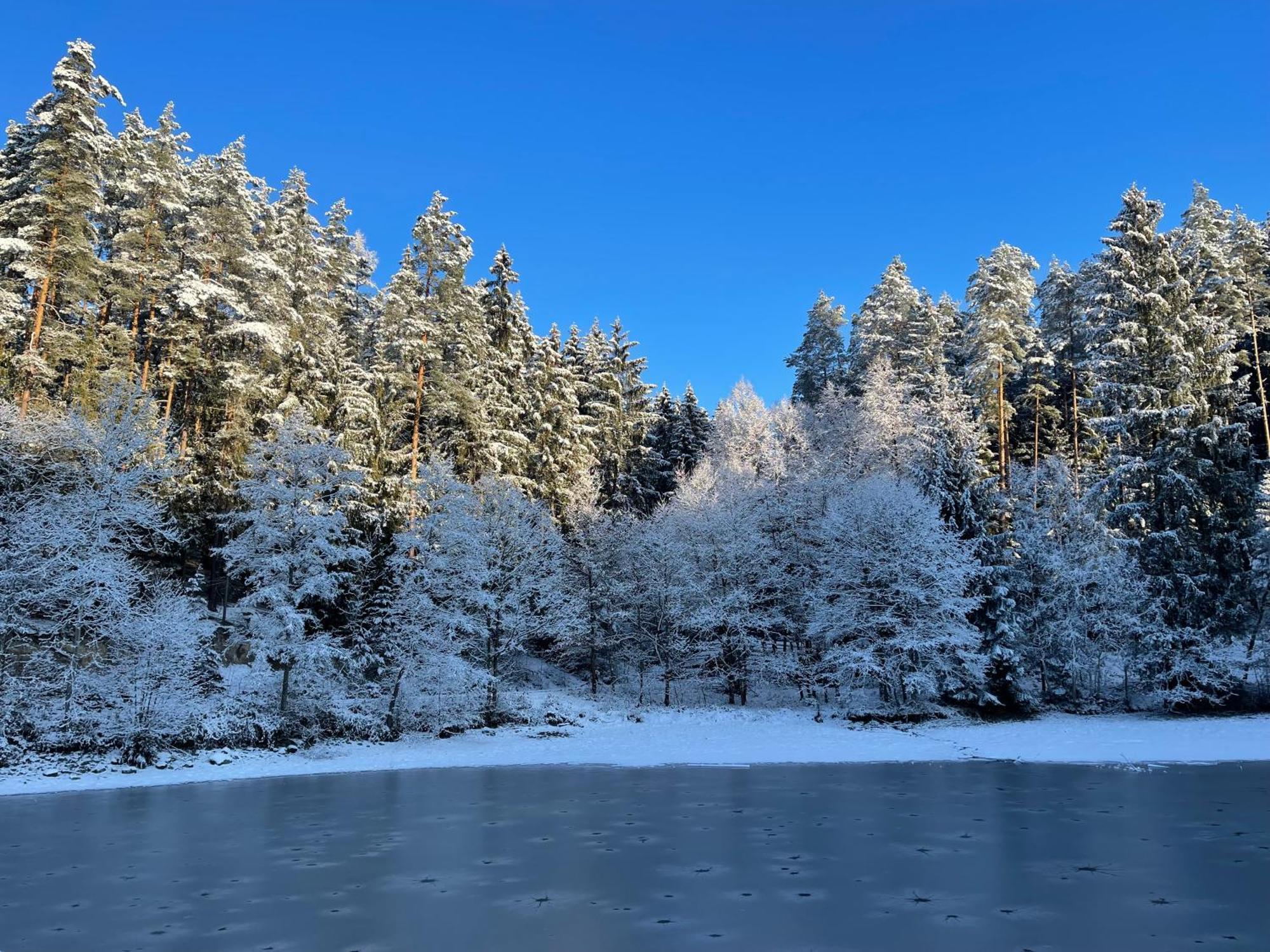 Waldhotel Linzmuehle Kahla  Екстер'єр фото