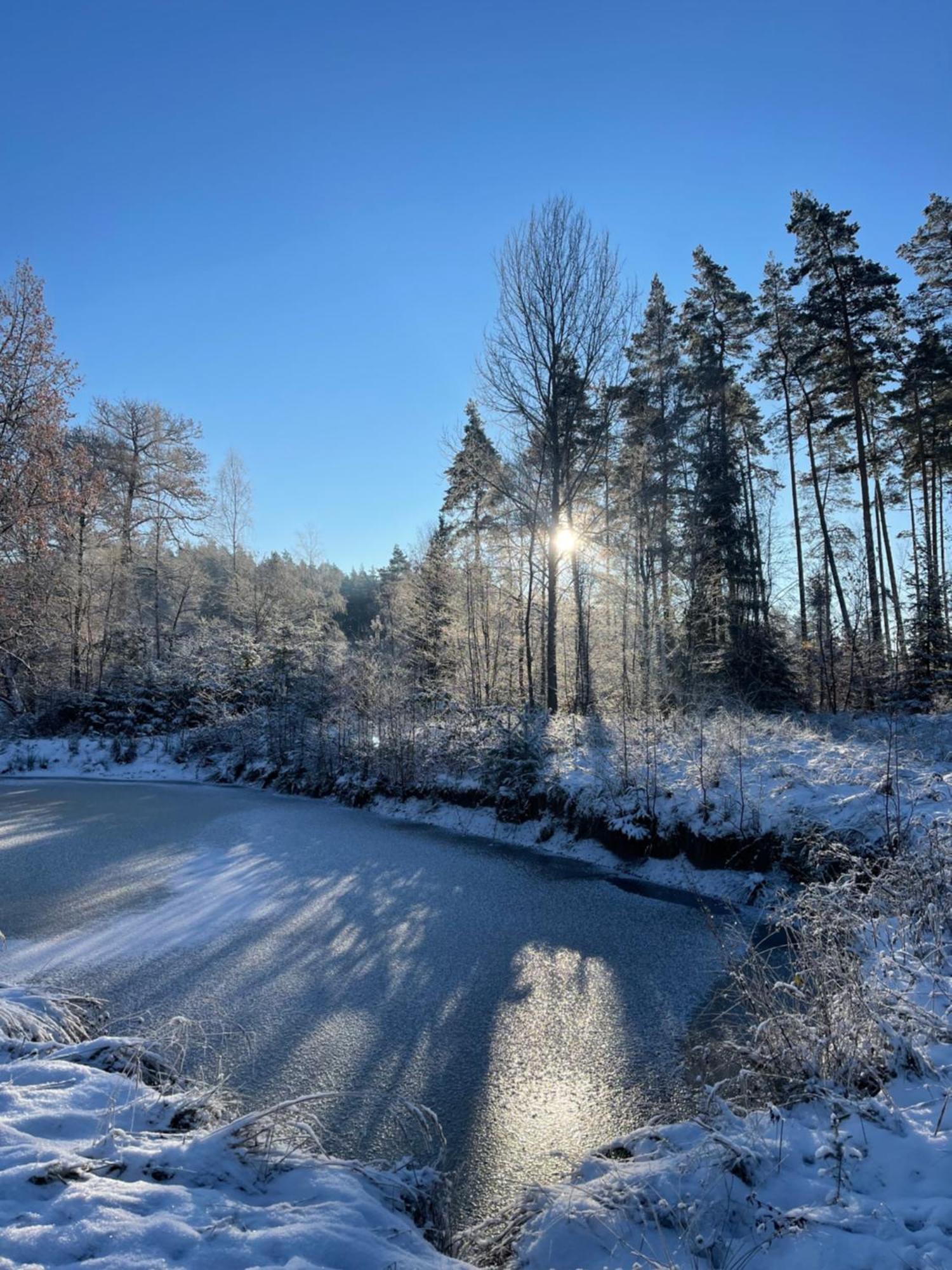 Waldhotel Linzmuehle Kahla  Екстер'єр фото