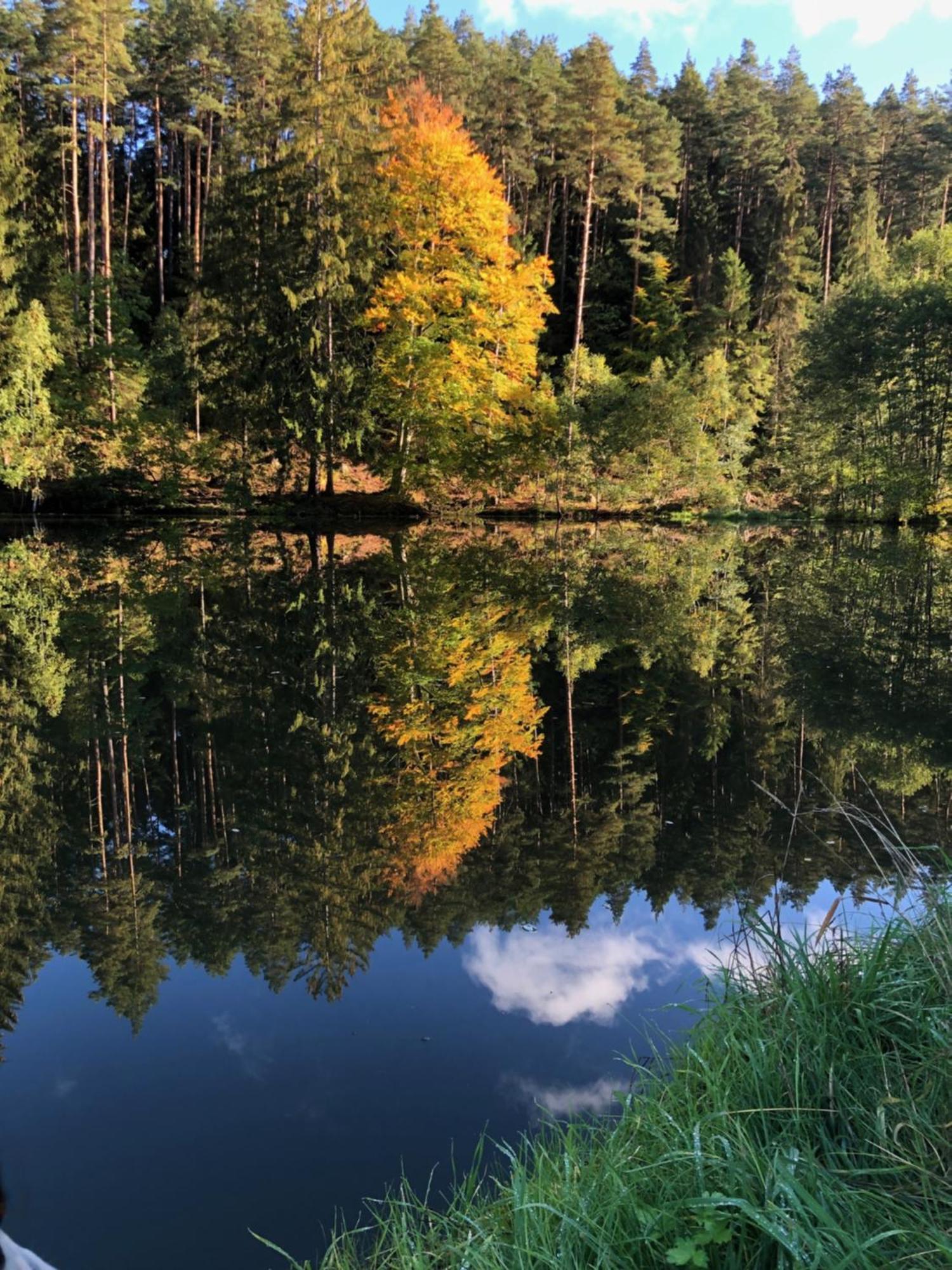 Waldhotel Linzmuehle Kahla  Екстер'єр фото